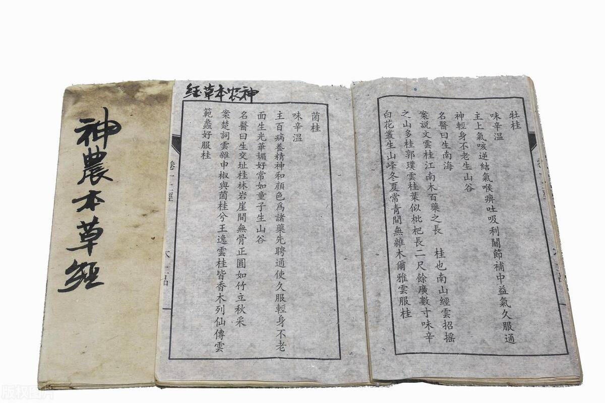 配伍是什么意思