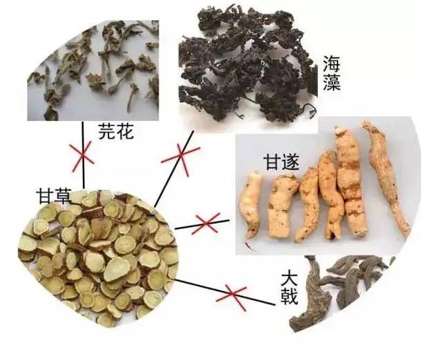 配伍是什么意思