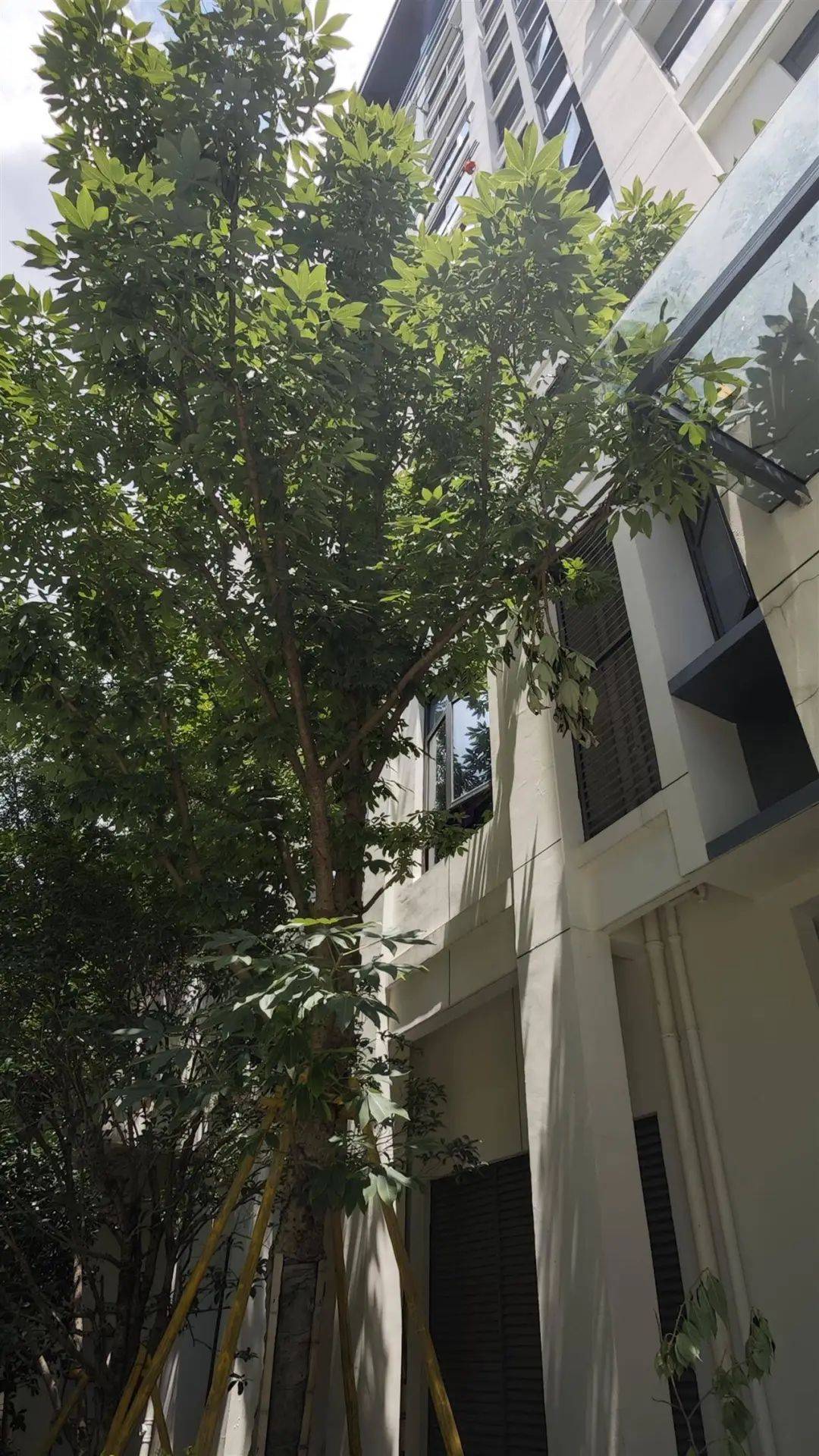 7岁男孩补课期间不幸从14楼坠亡，母亲痛哭：我42岁时冒着风险生的，警方已介入